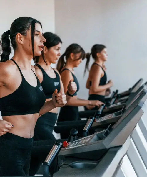 Why Daily Workouts Are the Key to a Healthier Life